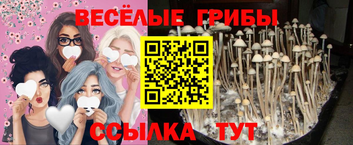 Галлюциногенные грибы прущие грибы Королёв