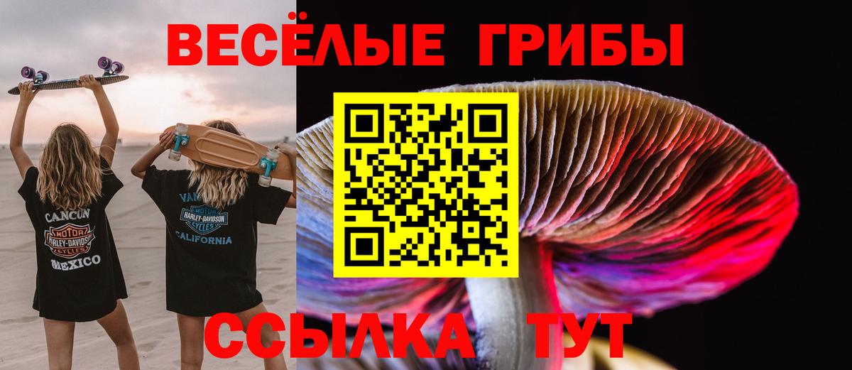 Королёв  Галлюциногенные грибы Magic Shrooms  Галлюциногенные грибы Psilocybine cubensis  Вход с VPN 