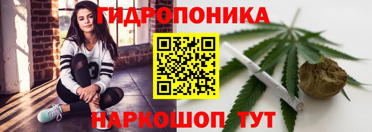 МАРИХУАНА план Королёв